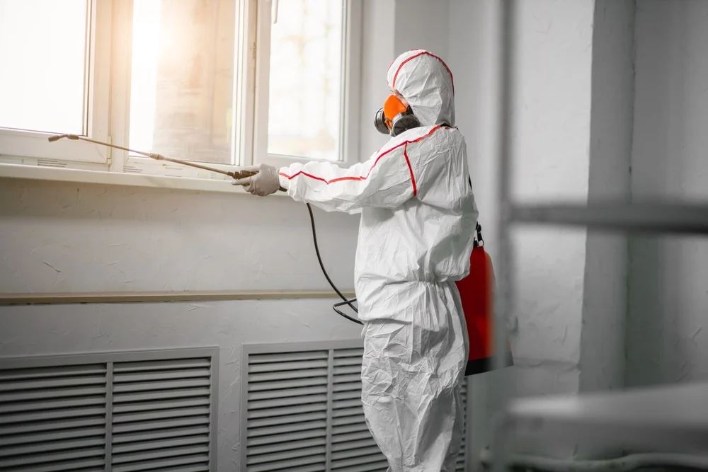 Professional mold remediation services in Fort Gratiot, MI